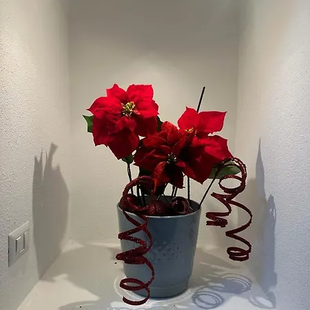 La Dolce Apartment *